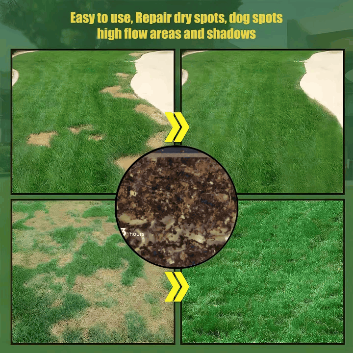 🔥Last Day Promotion 49% OFF🔥🌱2026 Seedvivo Dwarf Grass Seed for Four Seasons| Durable, Vibrant Green All Year