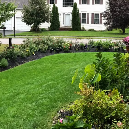 🔥Last Day Promotion 49% OFF🔥🌱2026 Seedvivo Dwarf Grass Seed for Four Seasons| Durable, Vibrant Green All Year