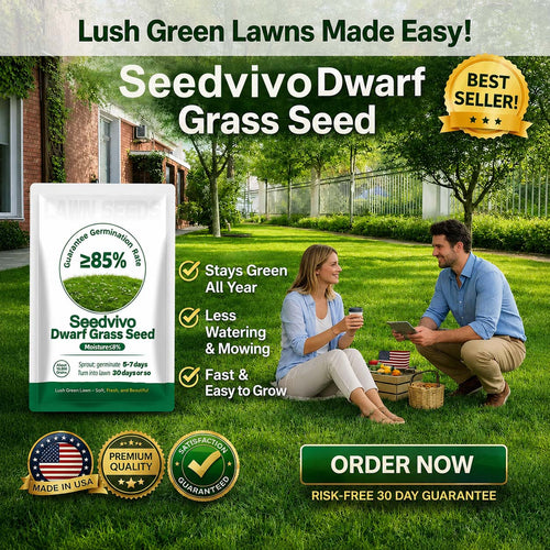 🔥Last Day Promotion 49% OFF🔥🌱2026 Seedvivo Dwarf Grass Seed for Four Seasons| Durable, Vibrant Green All Year